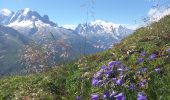 Tour Wandern Chamonix-Mont-Blanc - Aiguillette des Posettes 2201m 6.7.22 - Photo 7
