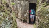 Excursión Senderismo Angomont - Le champ de bataille de la Chapelotte - Photo 16