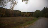 Tocht Te voet Unknown - Dagsmarschen - Photo 8