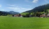 Tour Zu Fuß Blaichach - Rundweg Alpvielfalt - Photo 9