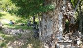 Excursión Bici de montaña Thorame-Basse - Le Tour des Villages - Photo 2