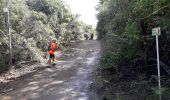 Tocht Stappen Le François - Stade du François-pointe Degras en boucle - Photo 11