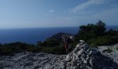 Tocht Stappen Marseille - calanques podestal, escut, melette - Photo 7