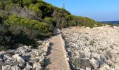 Tocht Stappen Antibes - Littoral du cap d’Antibes  - Photo 10