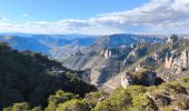 Tocht Stappen Veyreau - Causse Noir /Ermitage St Michel/ Point sublime  - Photo 2