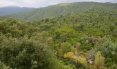 Tocht Stappen Roquebrune-sur-Argens - Col du Bougnon - Les Rollands - Photo 5