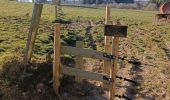 Trail Walking Dinant - Randonnée - Photo 16