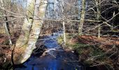 Tocht Stappen Tenneville - Laneuville-au-Bois : la Basseille - Photo 4