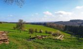 Tocht Stappen Gedinne - Balade de Bourseigne-Vieille à Vencimont - Photo 1