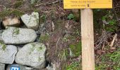 Trail Walking Cauterets - Sentier du Lisey - Photo 13