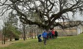 Tour Wandern Mane - MANE Saint Michel Observatoire  o - Photo 11