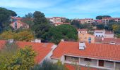 Trail Walking Argelès-sur-Mer - racou - collioure - racou / en boucle - Photo 13