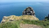 Tour Wandern Plévenon - Cap Fréhel - 2017 06 22 - Photo 8