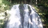 Tocht Te voet Vagney - Circuit du Grisard - Photo 2