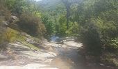 Trail Walking Saint-Gervais-sur-Mare - boucle COURS LES BANISSOUS - Photo 8