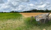 Tocht Stappen Gerpinnes - Fromiée Belle haie GR129  - Photo 4