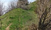 Excursión Senderismo Lullin - Le Mont Forchat au départ du col des Arses - Photo 3