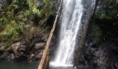 Tour Wandern Sainte-Rose - Cascade Naca - Photo 6