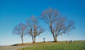 Tour Mountainbike Wirten - Villers-la-Loue II  -  Balade_VTT_19kms - Photo 3