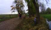 Trail Mountain bike Charleroi - VTT ransart terril 1 - Photo 8