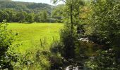 Tour Zu Fuß Le Falgoux - Le Roc du Merle - Photo 8