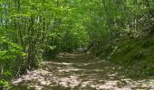 Trail  Lamastre - Lamastre Montreynaud - Photo 2