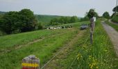 Trail Walking Olne - La balade de l'ail des Ours (Olne) 🥾 - Photo 2