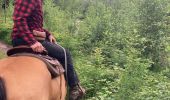 Trail Horseback riding Dabo - Tour de dabo Tivio Joyeux  - Photo 6