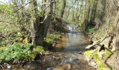 Tour Zu Fuß Steinau an der Straße - Steinau a. d. Straße, Wanderweg 8 - Photo 3