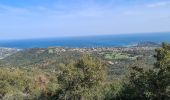 Trail Walking Sainte-Maxime - circuit panoramique Ste Maxime - Photo 5