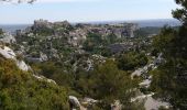 Tocht Stappen Saint-Rémy-de-Provence - Saint Remy de Provence le 30 mai 2021 - Photo 10