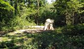 Tocht Stappen Seraing - boncelles, château de plaineveaux +village  - Photo 6