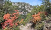 Trail Walking Le Broc - ESTERON - Photo 6