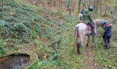 Trail Horseback riding Soucht - suuntoapp-HorsebackRiding-2024-11-10T08-15-44Z - Photo 5