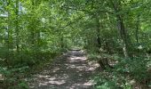 Randonnée Marche Frameries - SARS les Bruyère 17 km - Photo 13