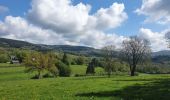 Tocht Stappen Stoumont - rando la gleize 20/05/2021 - Photo 10