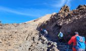 Randonnée Marche La Orotava - Sommet du Teide - Photo 2