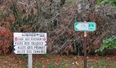 Trail Walking Saint-Germain-en-Laye - GRP CV-IDF 2023 - Photo 18