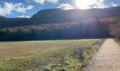 Trail Walking Plan-d'Aups-Sainte-Baume - Sainte Baume 8,5 km - Photo 16