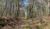 Percorso Marcia Compiègne - en forêt de Compiègne_48_sur les Routes de la Mariolle et du Grand Veneur - Photo 19