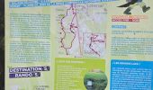 Trail Walking Ham-sur-Heure-Nalinnes - GR 129 Noirchien - N-D Loverval  - Photo 7