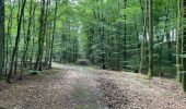 Randonnée Marche Oigny-en-Valois - en forêt de Retz_86_les Laies de la Poudrerie et de la Fosse aux Demoiselles - Photo 14