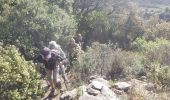 Excursión Senderismo La Garde-Freinet - Fort Freinet et les roches blanches - Photo 1