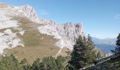 Tocht Stappen Château-Bernard - tête des chaudières et rocher de la Balme  - Photo 9