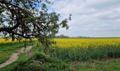 Randonnée Marche Milon-la-Chapelle - Yvelines_Forêt de la Madeleine et Abbaye de Port-Royal-des-Champs - Photo 1