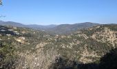 Excursión Senderismo Grimaud - grimaud pont des fées et mont roux - Photo 9