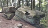 Randonnée Marche Vexaincourt - Vosges - Vexaincourt - Lac de la Maix- sentier des myrtilles  - Photo 2