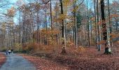 Trail Walking Spa - parc des 7 heures . thermes . frahinfaz . golf . lac de warfaaz . Fraineuse . spa centre  - Photo 13