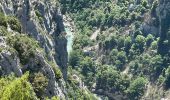 Trail Walking La Palud-sur-Verdon - La palud sur Verdon - Photo 14