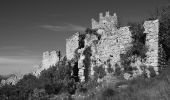 Excursión Senderismo Châteauneuf-Villevieille - Châteauneuf - Villevieille - Mont Macaron  - Photo 6